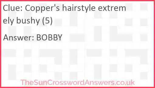 Copper's hairstyle extremely bushy (5) Answer
