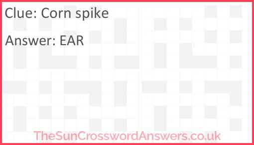 Corn spike crossword clue TheSunCrosswordAnswers co uk