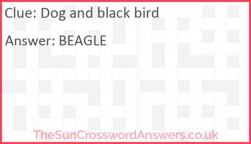 Dog and black bird Answer