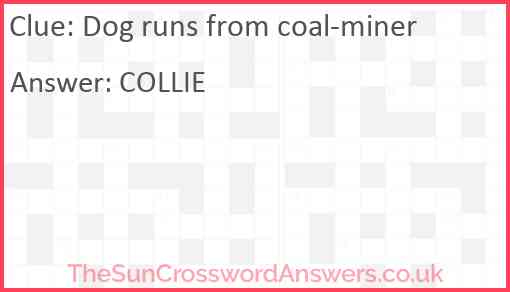 Dog runs from coal-miner Answer