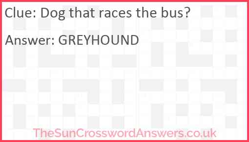 Dog that races the bus? Answer