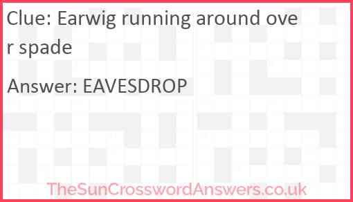 Earwig running around over spade Answer