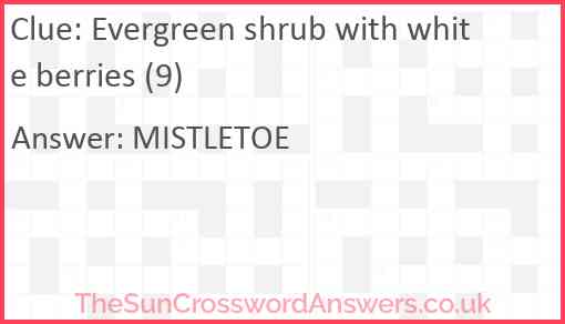 Evergreen shrub with white berries (9) Answer