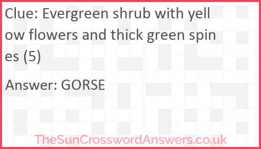 Evergreen shrub with yellow flowers and thick green spines (5) Answer