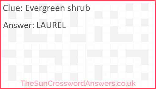 Evergreen shrub Answer