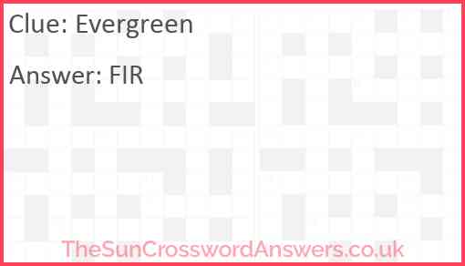 Evergreen crossword clue TheSunCrosswordAnswers co uk