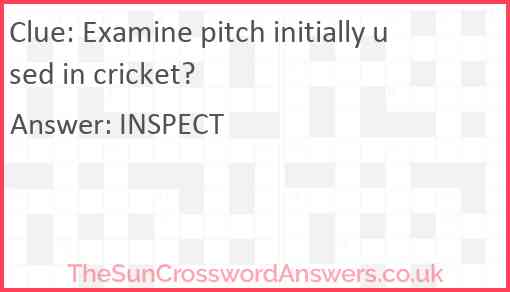 Examine pitch initially used in cricket? Answer