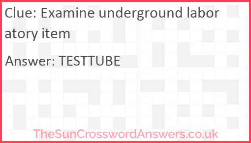Examine underground laboratory item Answer