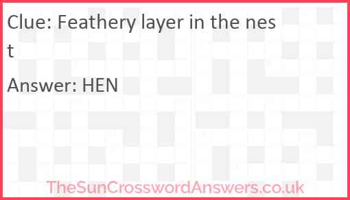 Feathery layer in the nest Answer