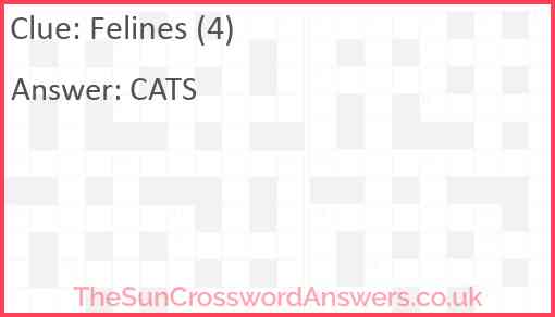 Felines (4) Answer