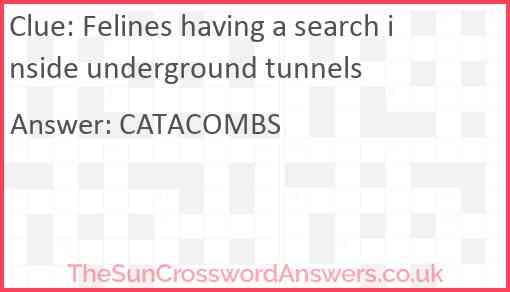 Felines having a search inside underground tunnels Answer