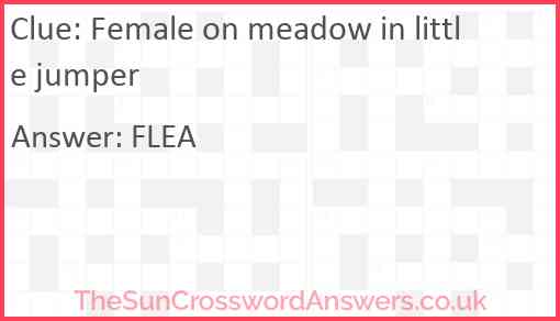 Female on meadow in little jumper Answer