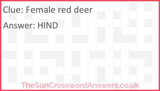 Female red deer Answer