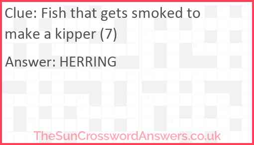 Fish that gets smoked to make a kipper (7) Answer
