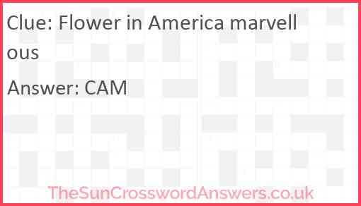 Flower in America marvellous Answer