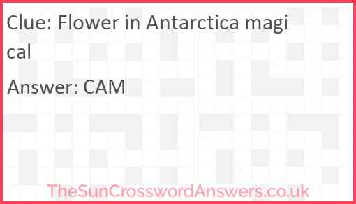 Flower in Antarctica magical Answer