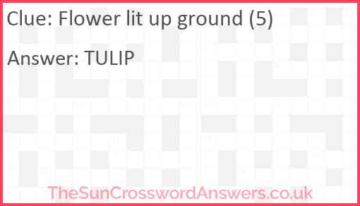 Flower lit up ground (5) Answer
