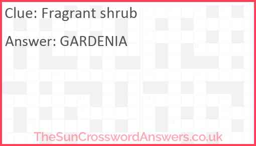 Fragrant shrub crossword clue TheSunCrosswordAnswers co uk