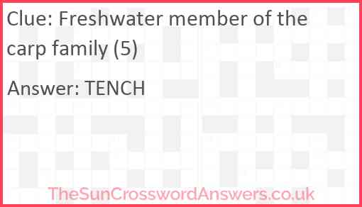 Freshwater member of the carp family (5) Answer