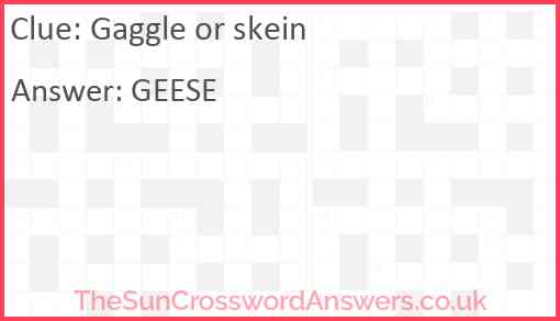 Gaggle or skein Answer