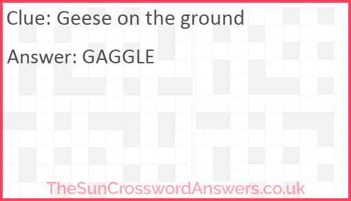 Geese on the ground Answer