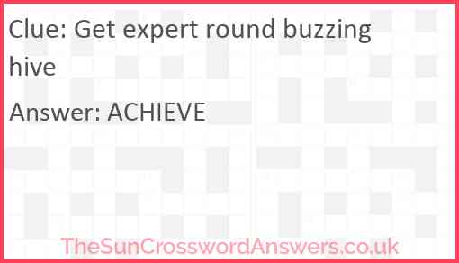 Get expert round buzzing hive Answer