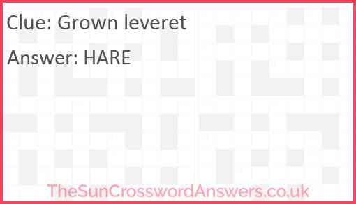 Grown leveret Answer