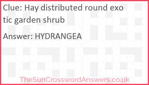 Hay distributed round exotic garden shrub Answer