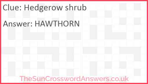 Hedgerow shrub Answer