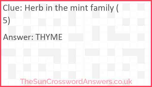 Herb in the mint family (5) Answer
