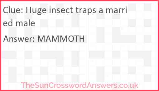 Huge insect traps a married male Answer