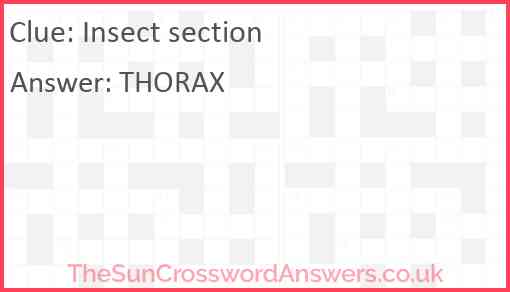 Insect section crossword clue TheSunCrosswordAnswers co uk