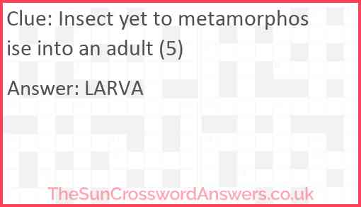 Insect yet to metamorphosise into an adult (5) Answer