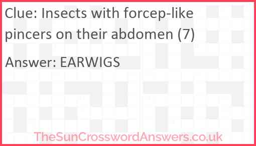 Insects with forcep-like pincers on their abdomen (7) Answer