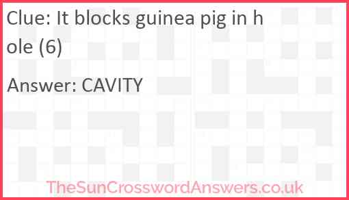It blocks guinea pig in hole (6) Answer