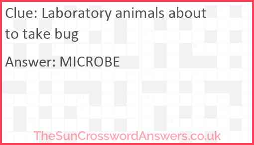 Laboratory animals about to take bug Answer