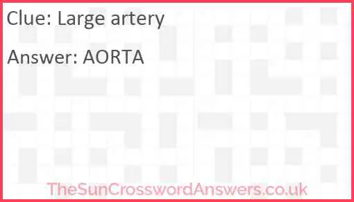 Large artery crossword clue TheSunCrosswordAnswers co uk