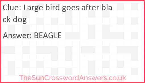 Large bird goes after black dog Answer