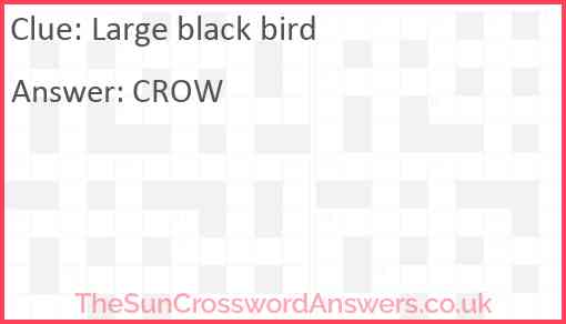 Large black bird Answer