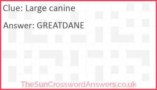 Large canine Answer