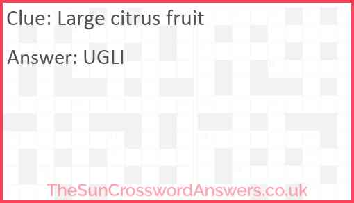 Large citrus fruit Answer