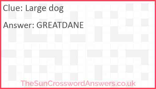 Large dog Answer