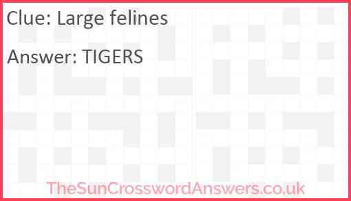 Large felines Answer