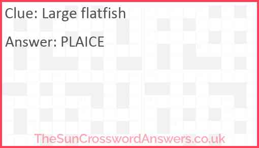 Large flatfish Answer