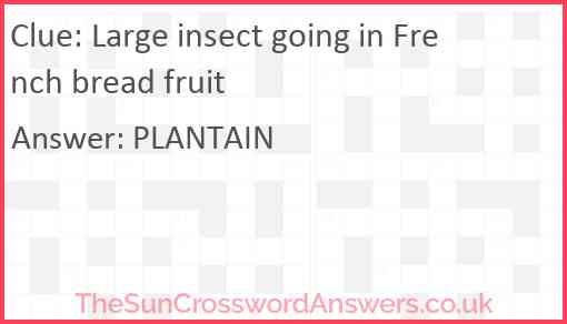 Large insect going in French bread fruit Answer
