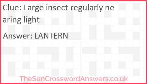 Large insect regularly nearing light Answer