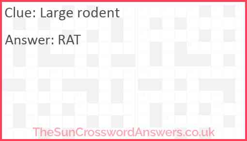 Large rodent Answer