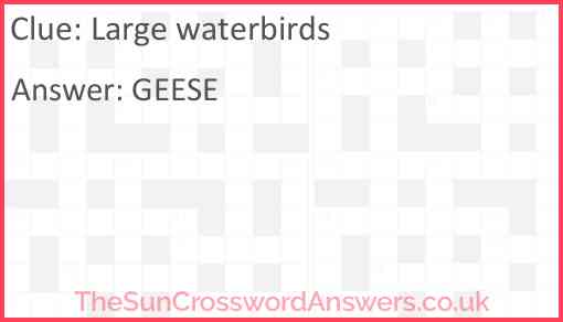 Large waterbirds Answer