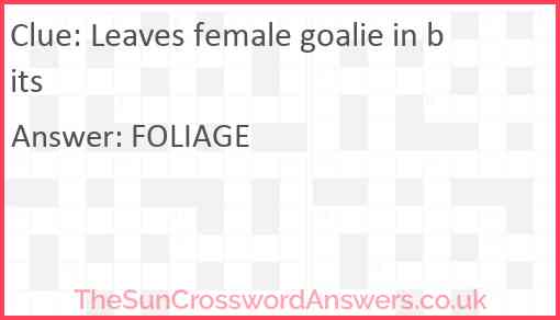 Leaves female goalie in bits Answer