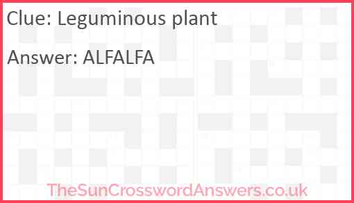 Leguminous plant Answer